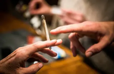 Kannabis voi johtaa hedelmällisyysongelmiin: tekee siittiöistä flegmaattisia!