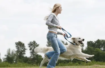 Uusi fitness-trendi: kyykkää koiran kanssa!