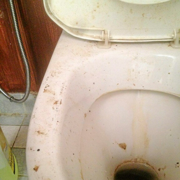 Yök, mikä vessanpönttö - kaikki kuvat räppäri Junon vuokra-asuntoläävästä!
