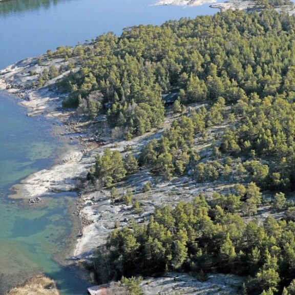 Esko Salmisen ja Aino Sepon mökki sijaitsee keskellä idylliä – kuvat piilopirtistä!