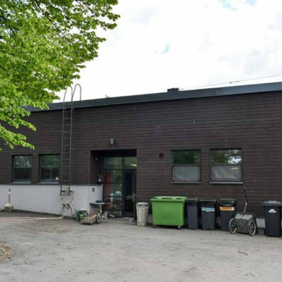 Toimi näin, jos löydät loukkaantuneen villieläimen tai hylätyn poikasen!