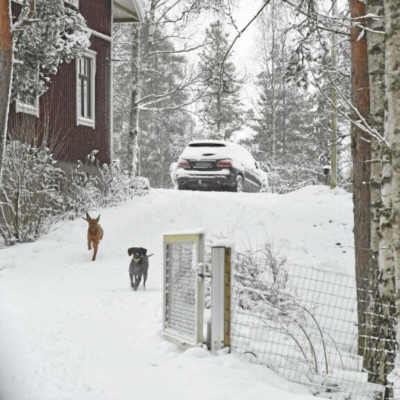 Wau, mikä idylli: tässä on Satu Tuomiston ja Petri-kullan lemmenpesä!
