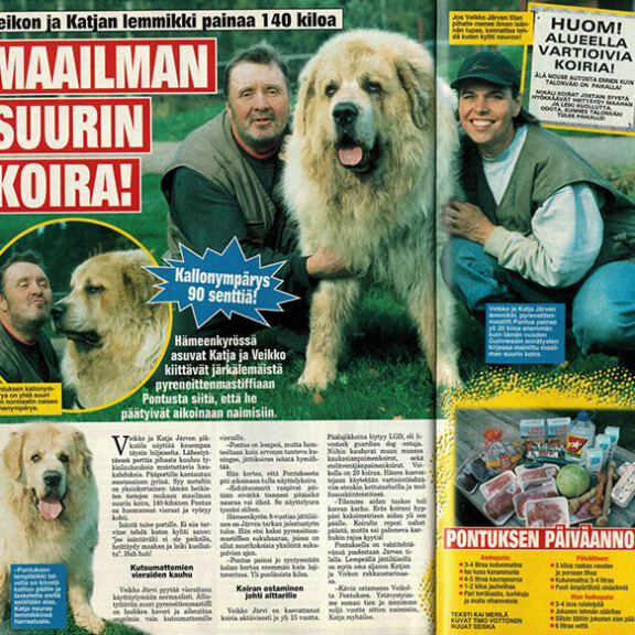 Muistatko tämän? Hämeenkyrössä asusteli maailman suurin koira!