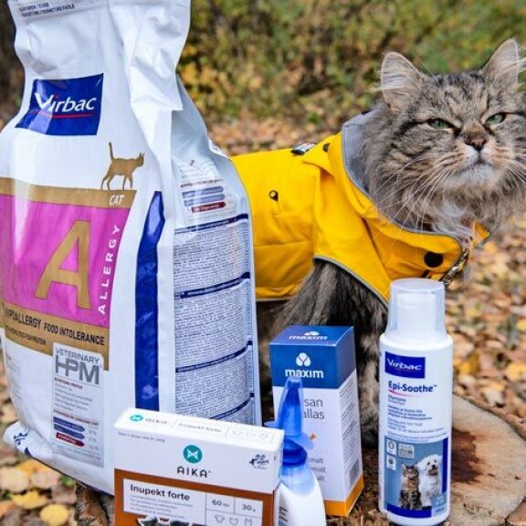 Biofarm ja Seiska lahjoittivat voittajakissalle ruokaa ja muuta tarpeellista arkeen. – Mieluiten Hulina jyrsii kanankauloja, ja sen lempiherkku on lihatikut, Jenni kertoo. Biofarm ja Seiska lahjoittivat voittajakissalle ruokaa ja muuta tarpeellista arkeen. – Mieluiten Hulina jyrsii kanankauloja, ja sen lempiherkku on lihatikut, Jenni kertoo.