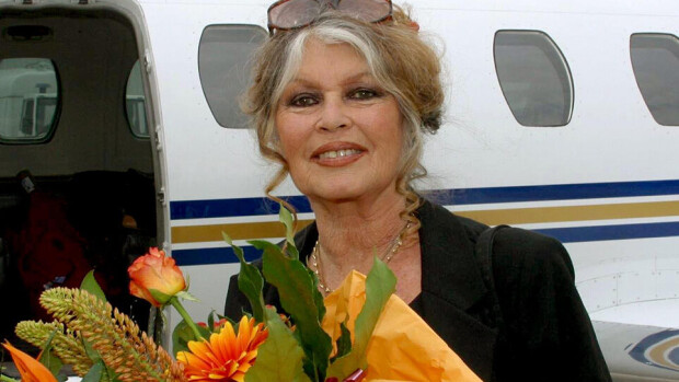 Ranskalainen seksisymboli Bardot täytti 80 vuotta - katso elämän kuvat! Ranskalainen seksisymboli Bardot täytti 80 vuotta - katso elämän kuvat!