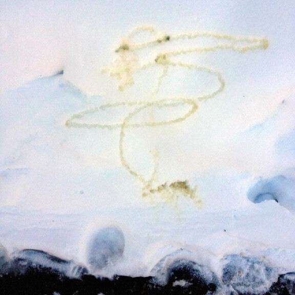 Bieberin pidätykseen johtanut hurja klubi-ilta - tässä kaikki faktat ja kuvat!