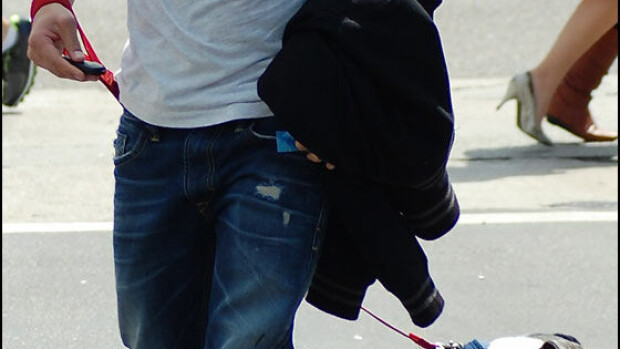 Joe Jonas, eikö koirasi tottele? Joe Jonas, eikö koirasi tottele?