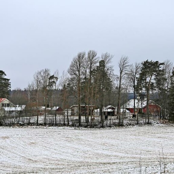 Uusi koti on metsän keskellä. Viehättävä keltainen päärakennus on valmistunut 1992. Isossa tallissa oikealla on tilat noin kymmenelle hevoselle. Pienempi punainen rakennus on niin sanottu renkitupa. Uusi koti on metsän keskellä. Viehättävä keltainen päärakennus on valmistunut 1992. Isossa tallissa oikealla on tilat noin kymmenelle hevoselle. Pienempi punainen rakennus on niin sanottu renkitupa.