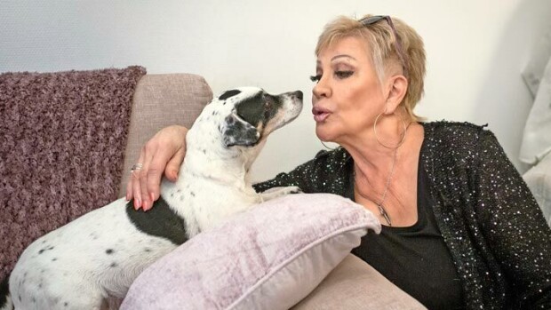 Hannele Lauri pelkää rakkaan Nancy-koiransa puolesta: Viimeinen joulu yhdessä? Hannele Lauri