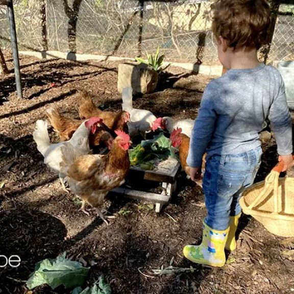 Meghan raotti Ellen DeGeneresille perhe-elämäänsä ja esitteli tuoreen kuvan pojastaan: 'Suloinen haisunäätä' Archie Mountbatten-Windsor