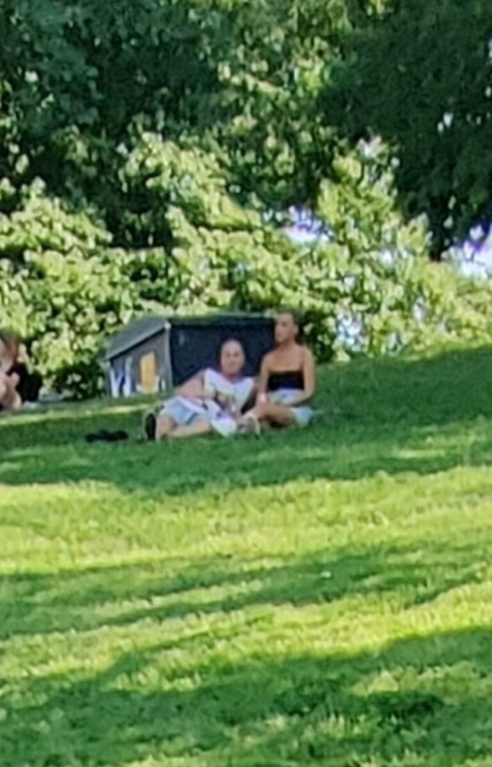 Mattu ja Johnny viettivät aikaa puistossa kahdestaan. Mattu ja Johnny viettivät aikaa puistossa kahdestaan.