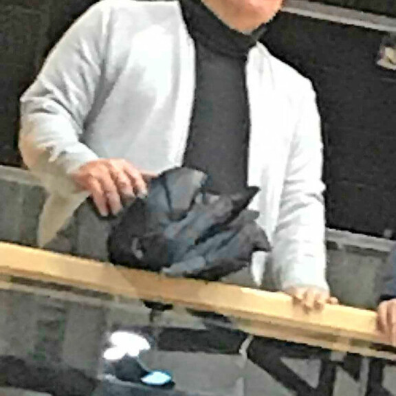 Jari Aarnion poika taisteli SM-mitaleista – ex-huumepoliisi jännitti katsomossa! Katso kuva! Jari Aarnio katsomossa.