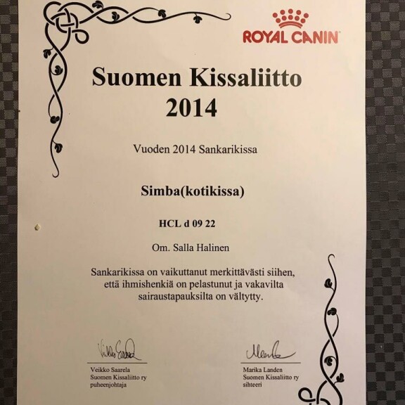 – Simba tietää olevansa rakastettu ja suuresti kunnioitettu, vaikkei se osaakaan lukea, miten kunniakirjassa sitä kehutaan, Salla nauraa. – Simba tietää olevansa rakastettu ja suuresti kunnioitettu, vaikkei se osaakaan lukea, miten kunniakirjassa sitä kehutaan, Salla nauraa.