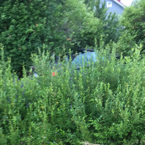 Sokkikuvat onnettomuuspaikalta! IS: Tuomas Enbuske ajoi päin sähkötolppaa – ”Totta kai tein ajovirheen!” Tuomas Enbusken auto